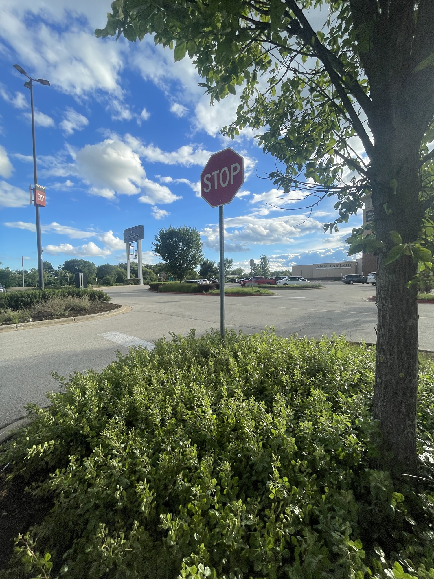 The Morton Arboretum