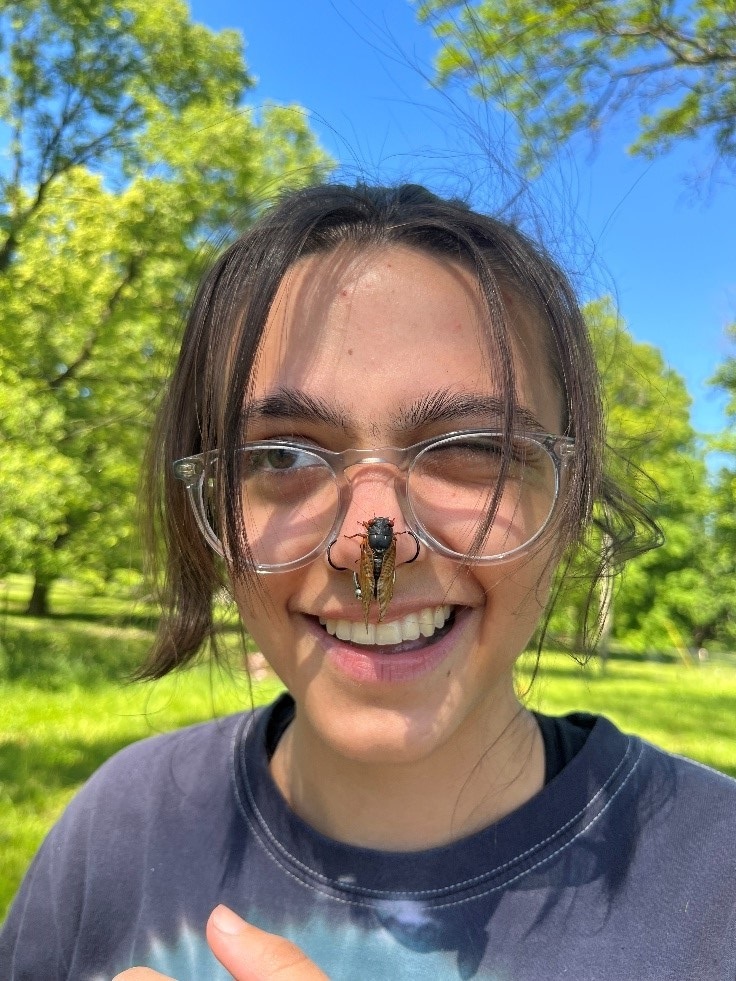 The Morton Arboretum