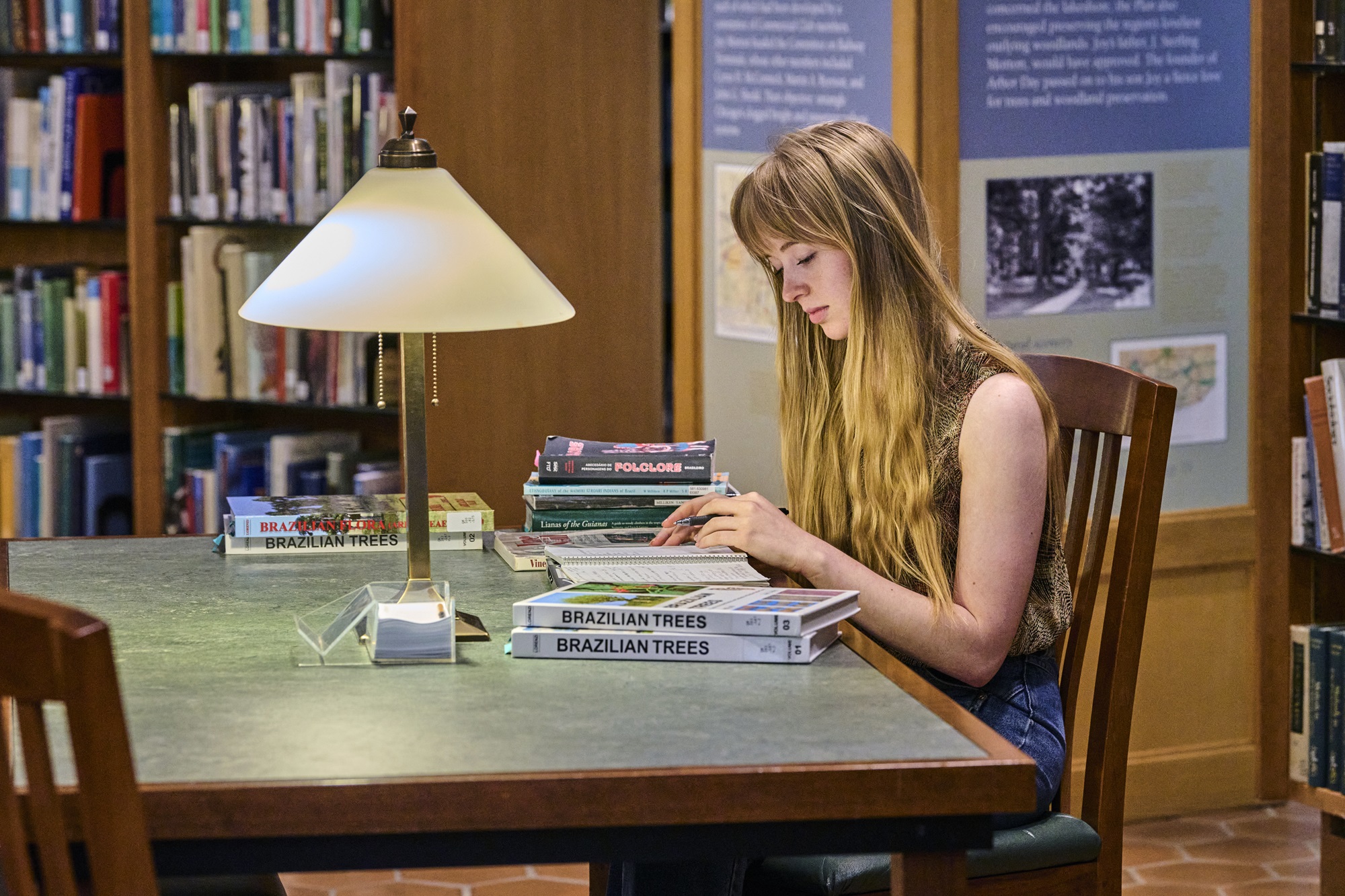 The Morton Arboretum