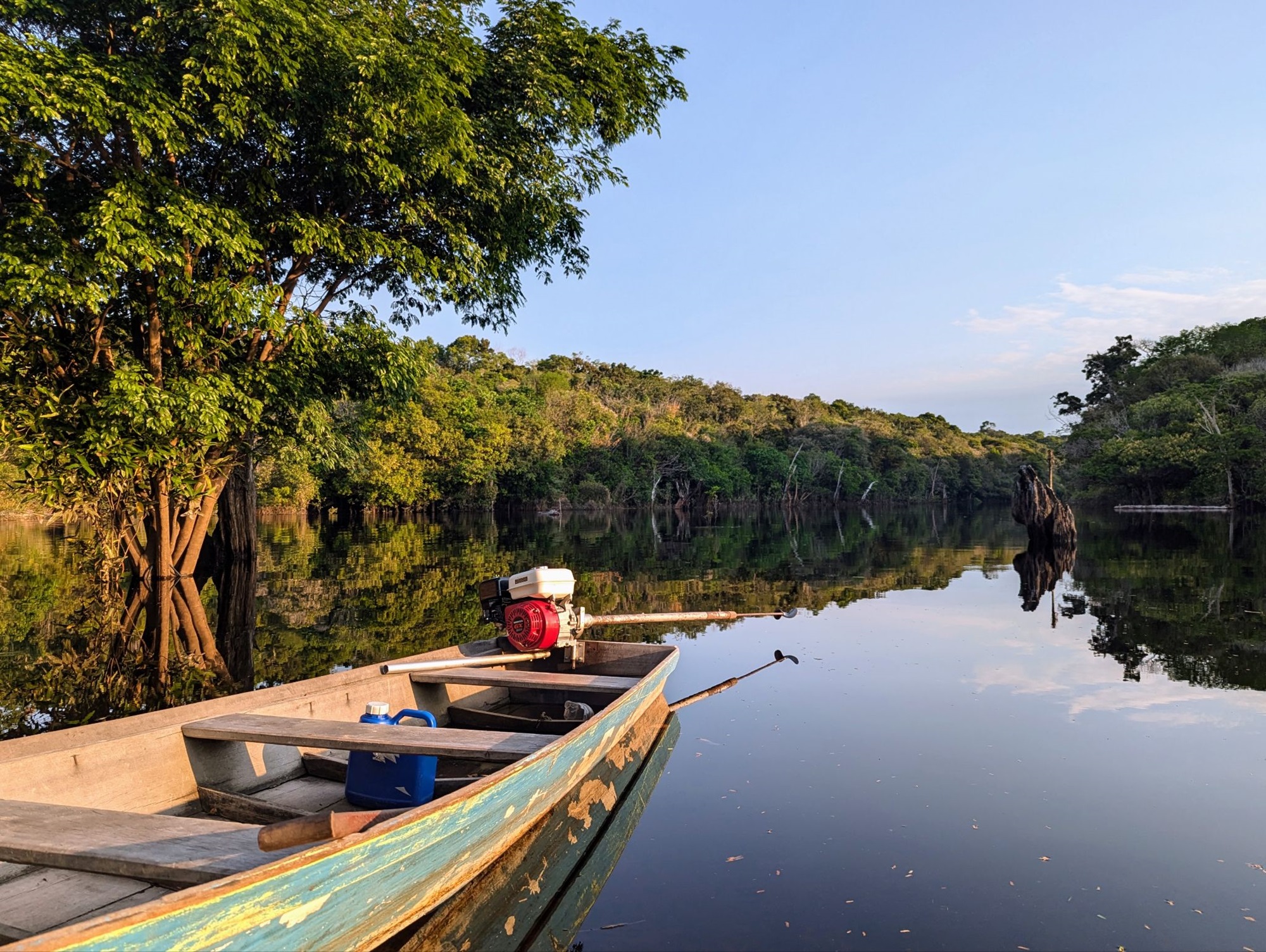 The Morton Arboretum