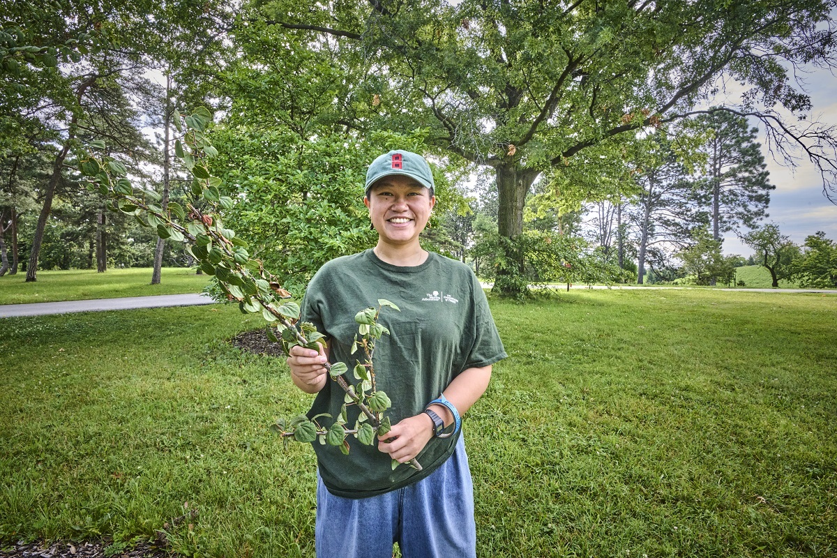 The Morton Arboretum