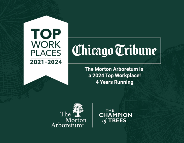 The Morton Arboretum