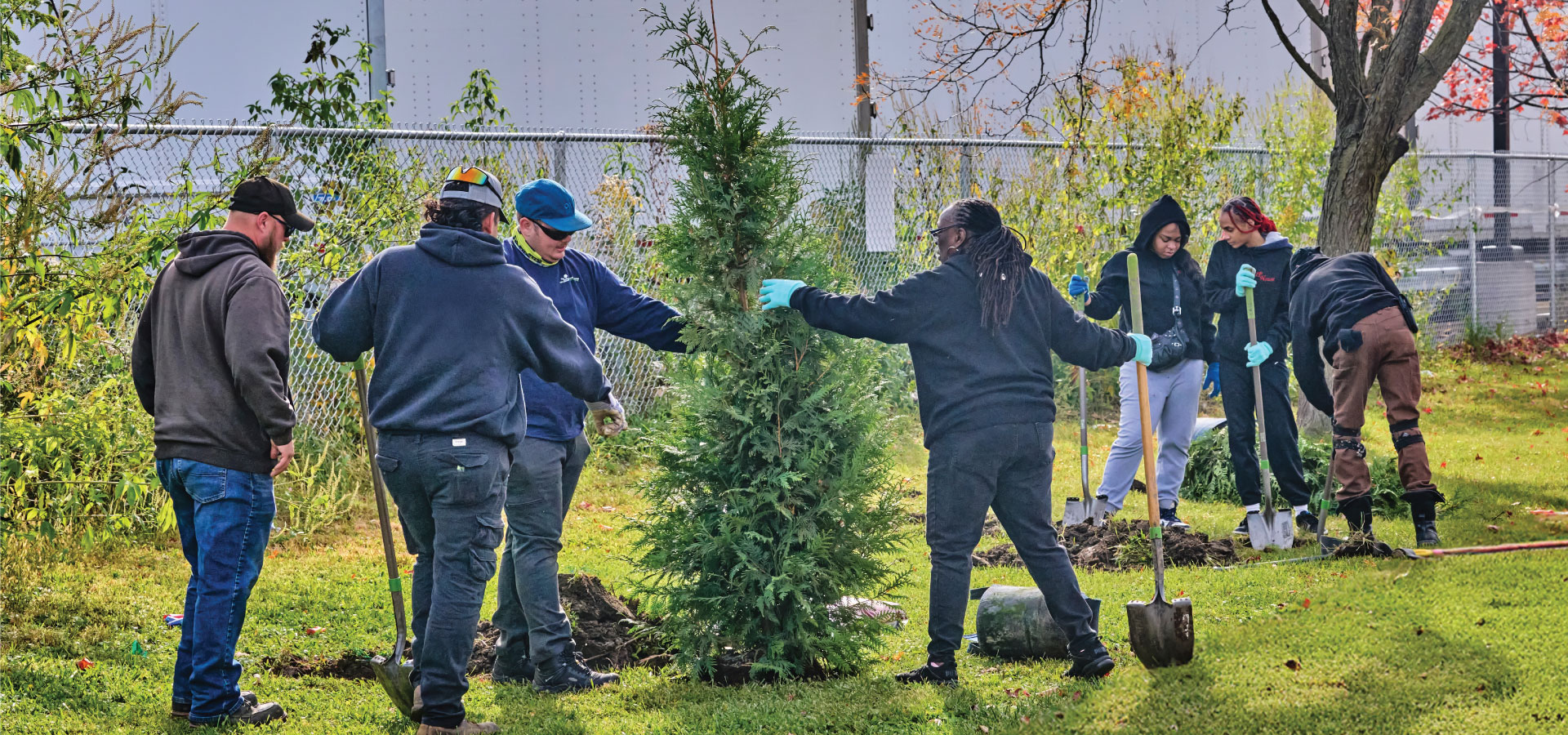 Photograph of Morton Arboretum staff and volunteers planting a cedar tree in a Chicago neighborhood park