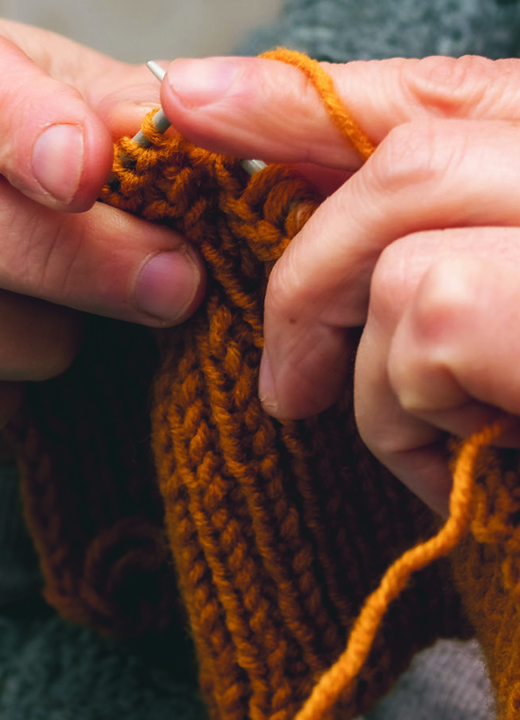 The Morton Arboretum