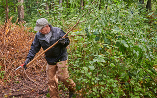 The Morton Arboretum