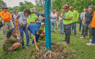 The Morton Arboretum