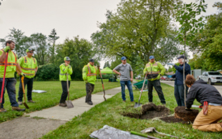 The Morton Arboretum
