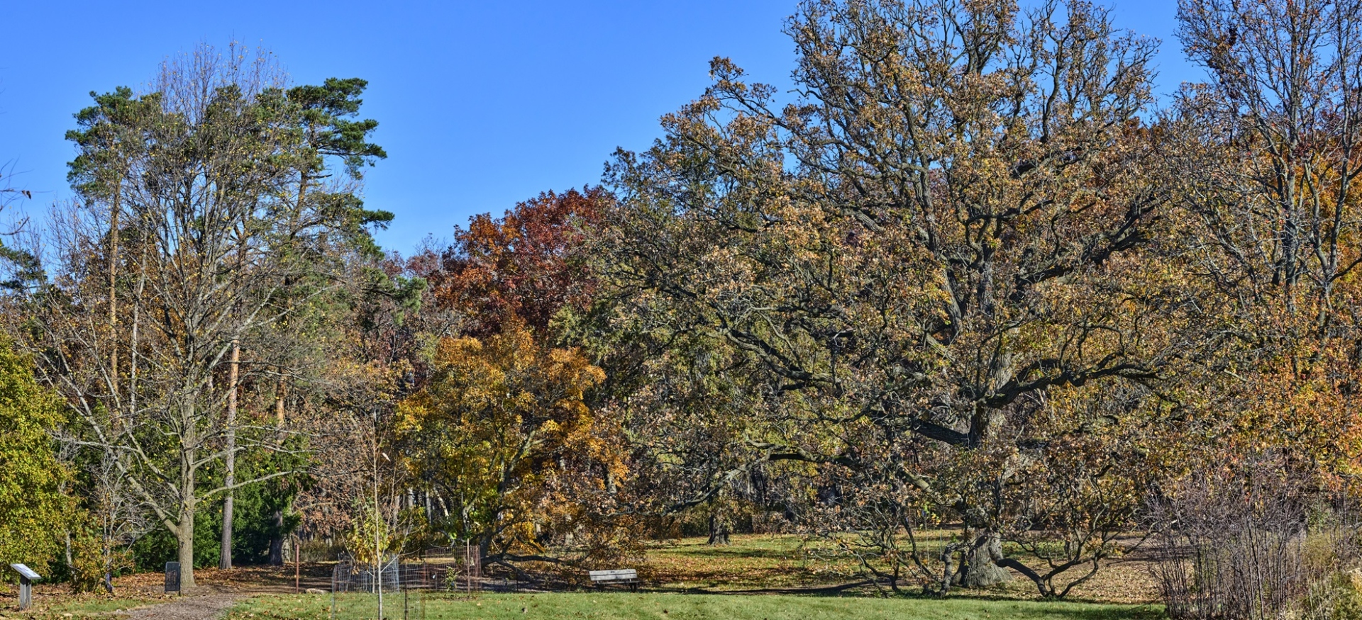 The Morton Arboretum