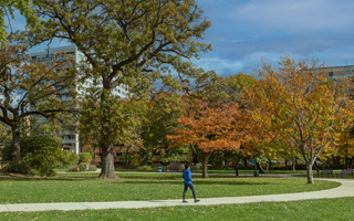 The Morton Arboretum