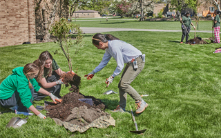 The Morton Arboretum
