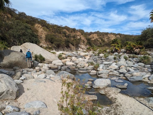 The Morton Arboretum