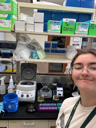 The Morton Arboretum