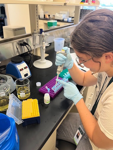 The Morton Arboretum