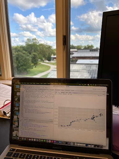 The Morton Arboretum