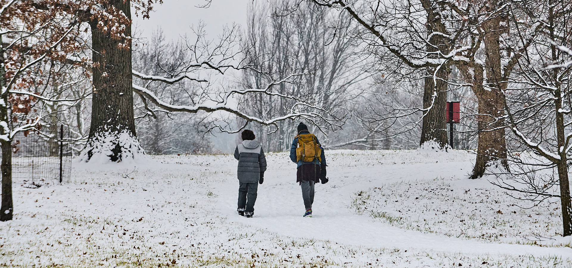 The Morton Arboretum