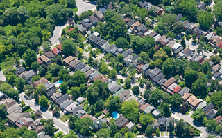 The Morton Arboretum