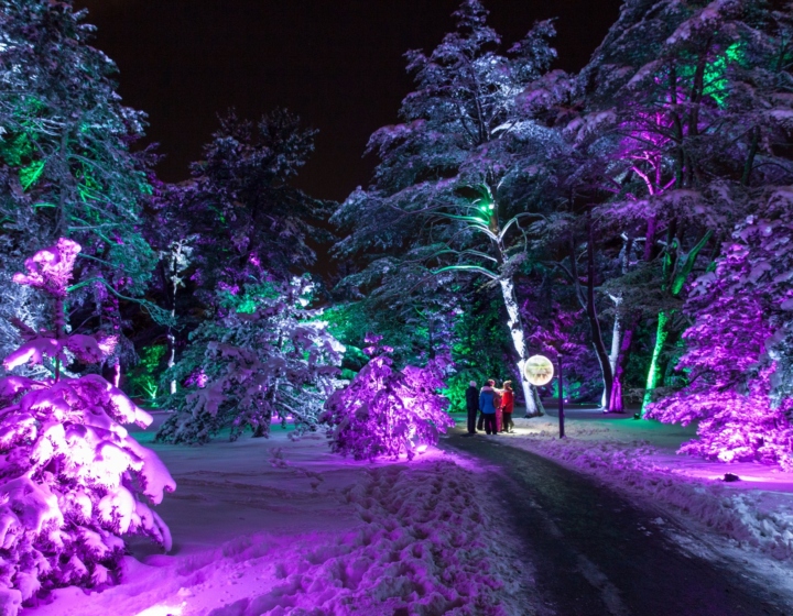 The Morton Arboretum