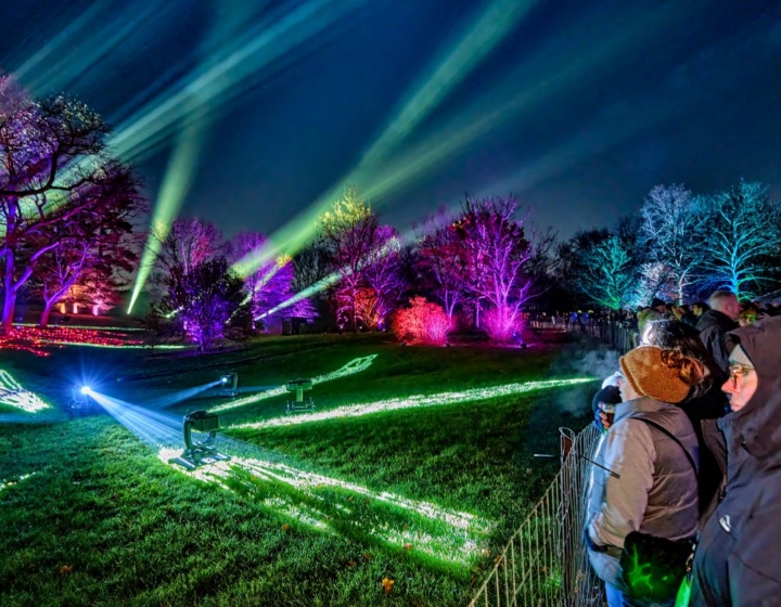 Photograph of visitors looking at light displays at Illumination: Tree Lights at The Morton Arboretum
