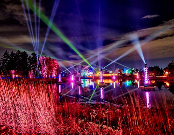 Photograph of Meadow Lake adorned with light installations for the experience Illumination: Tree Lights At The Morton Arboretum