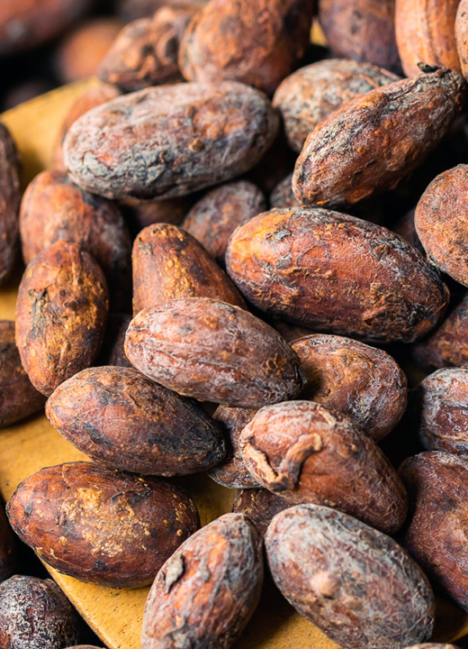 Photograph of cocoa beans and cocoa pods