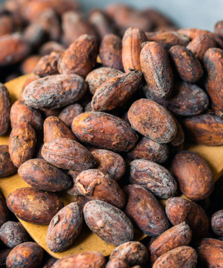 Photograph of cocoa beans and cocoa pods