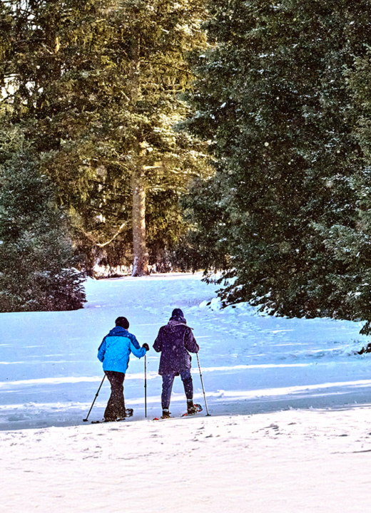 Photograph of visitors enjoying cross-country skiing at The Morton Arboretum