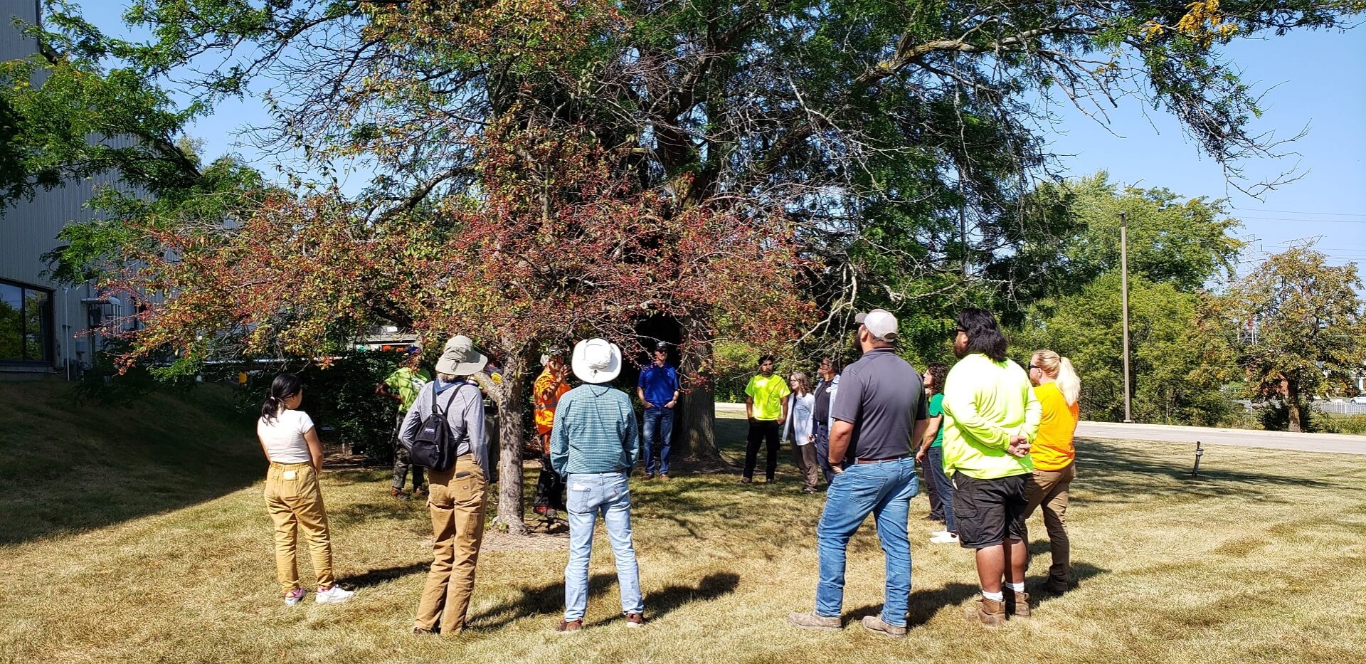 Photograph of attendees learning proper pruning practices at Urban Forestry Basic Training demonstration