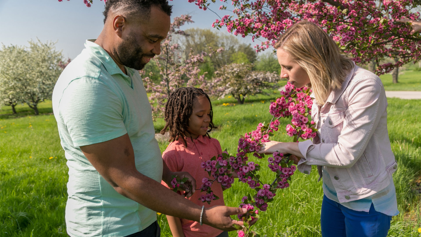Photograph of parents and a child hold the branch of a blooming crabapple tree in spring and look closely at the flowers