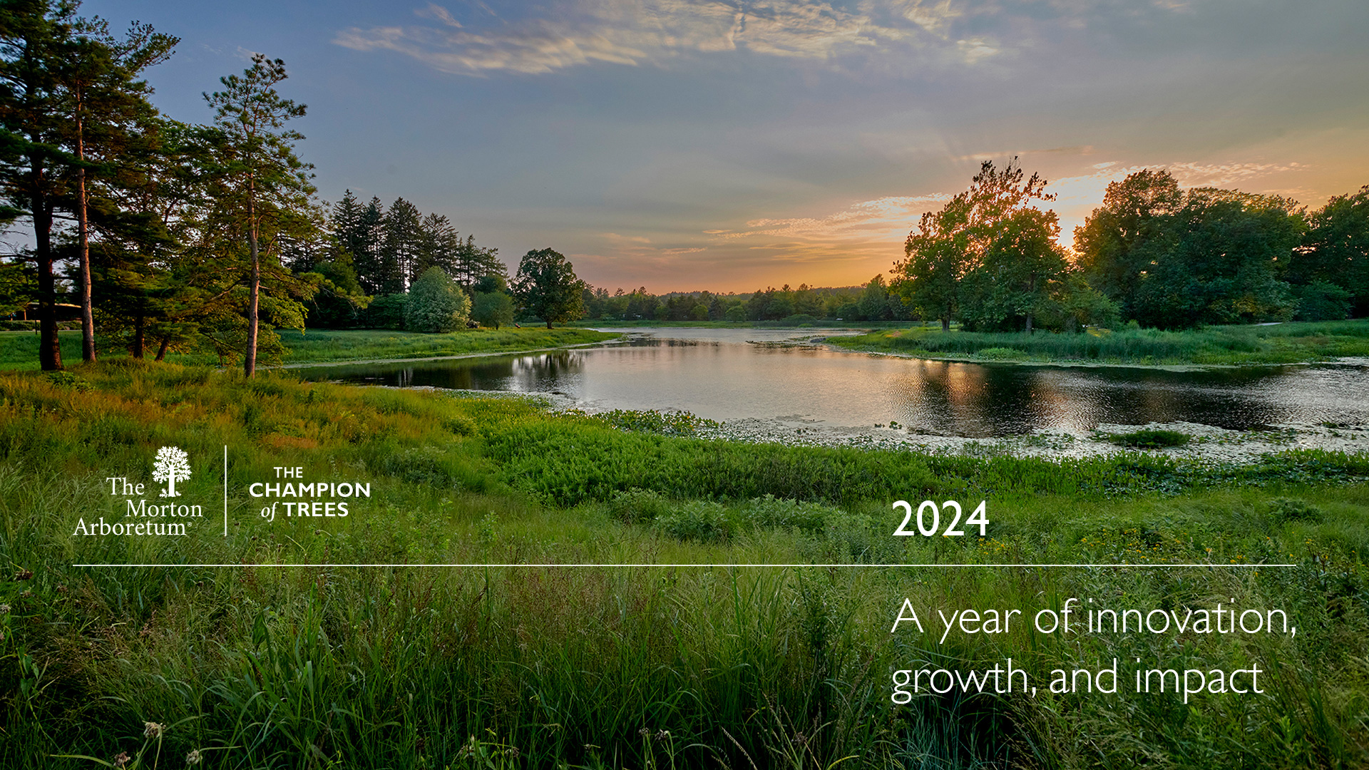 A sunset over Meadow Lake.
