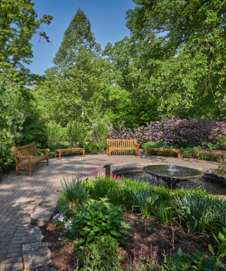 The Morton Arboretum