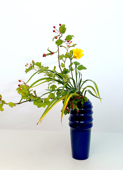 The Morton Arboretum