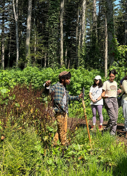 A group gathered around an instructor out on an Arboretum trail, learning about a plant the instructor is pointing out.