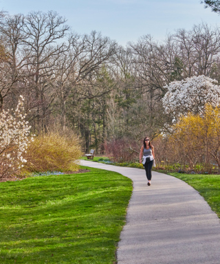 The Morton Arboretum