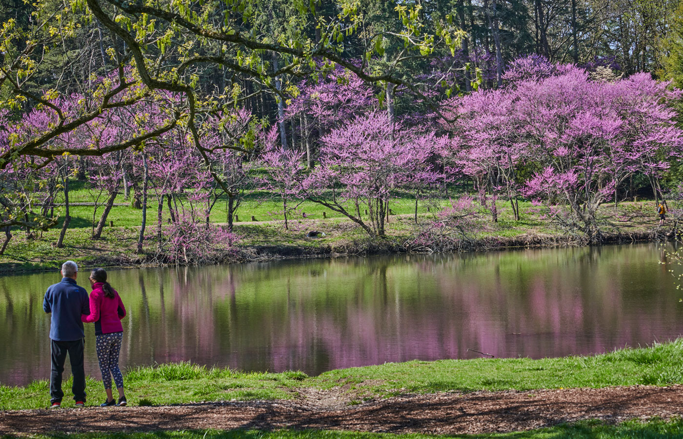 A couple relaxes and takes in the views of the bursting redbuds across Lake Marmo in spring.