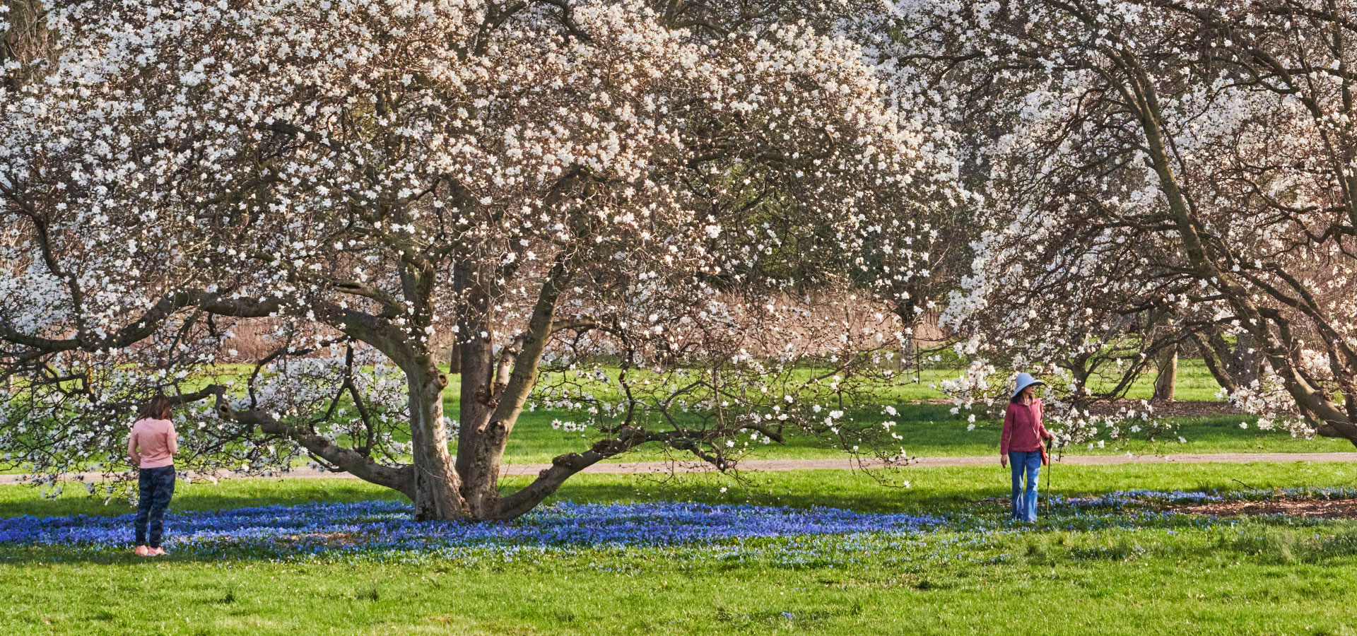 The Morton Arboretum