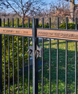 The Morton Arboretum