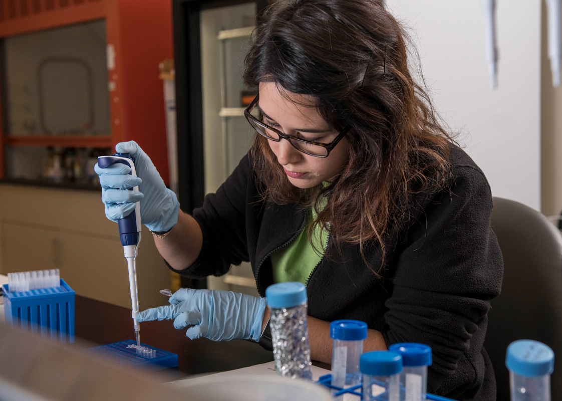 A researcher uses a pipette to extract DNA from a test tube.