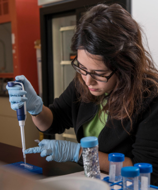 A researcher uses a pipette to extract DNA from a test tube.