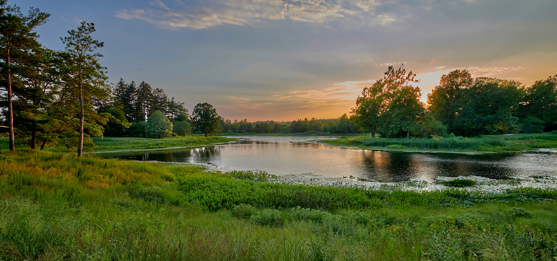 The Morton Arboretum