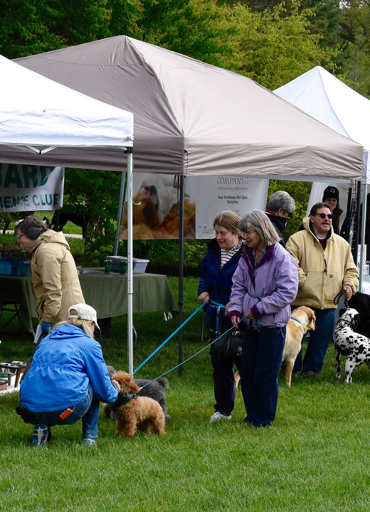 People lined up in front of vendor tends with their dogs for the spring Tails on the Trails event.