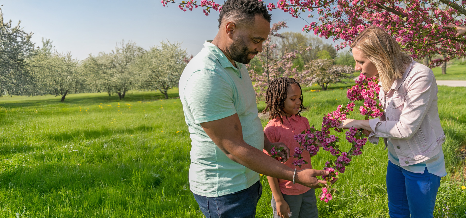 A family looks closely at a flower crabapple tree in spring.