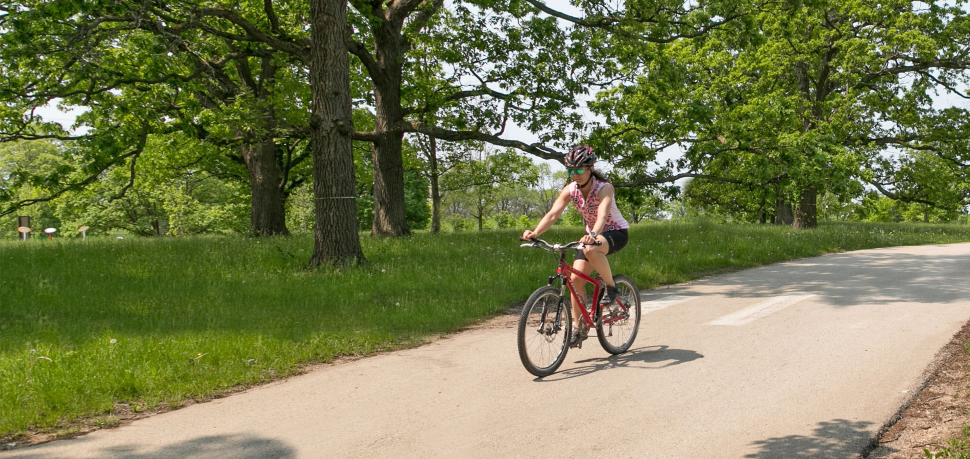 A woman bikes through the oak collection in spring as the trees start to leaf out.