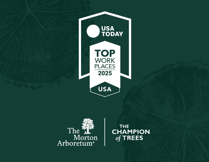 The Morton Arboretum