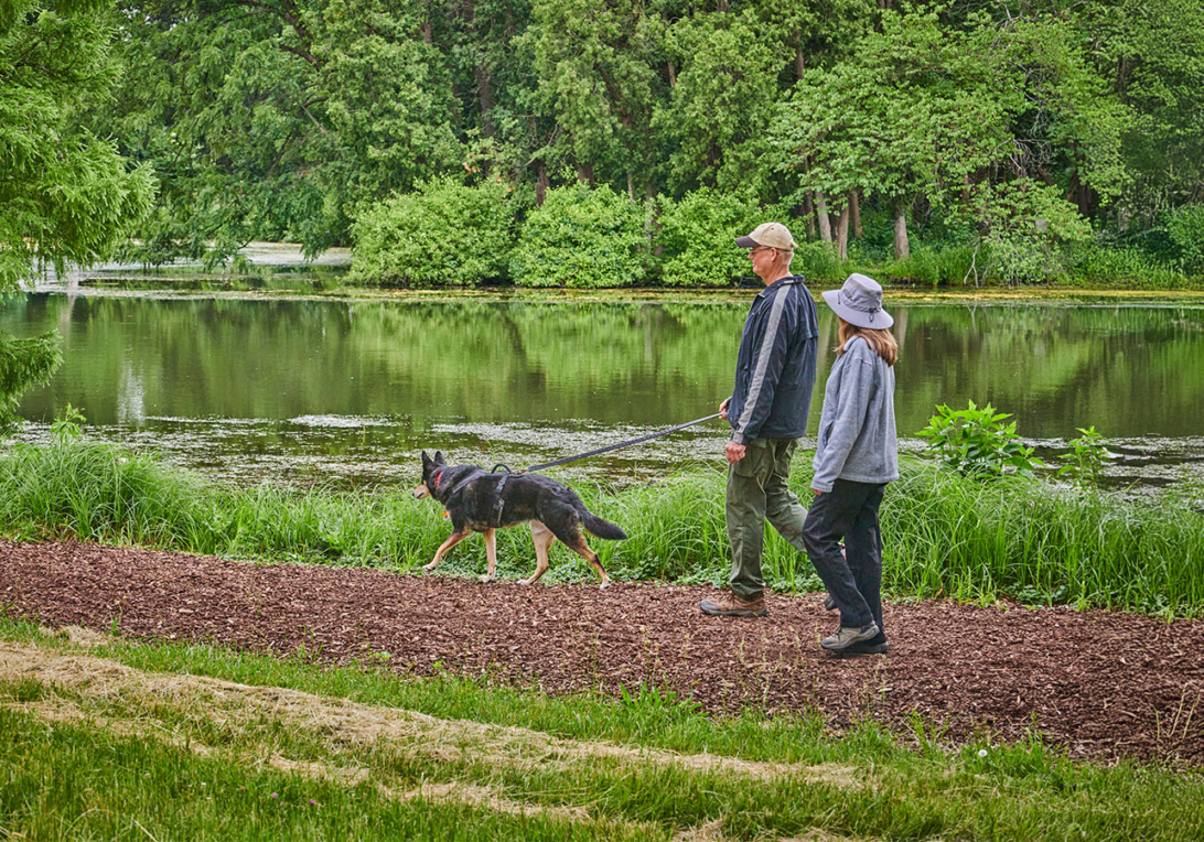 Photograph of a man and a woman walking their dog at The Morton Arboretum during designated Dog Admission Day event