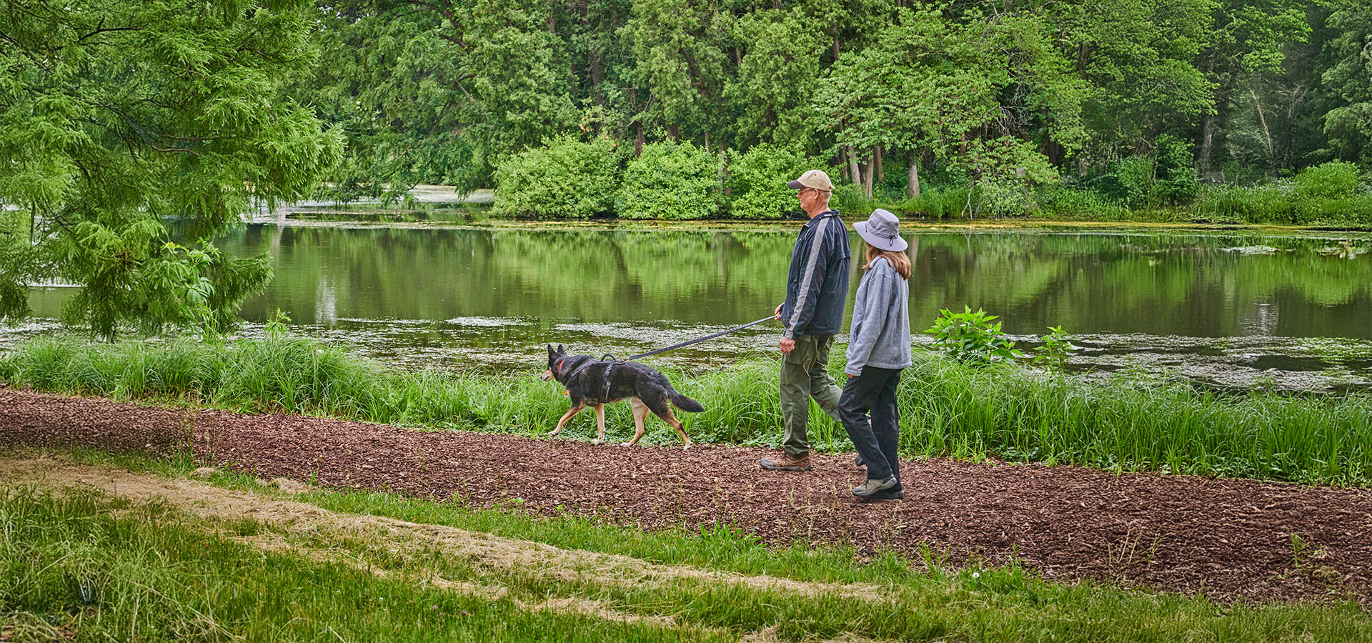 Photograph of a man and a woman walking their dog at The Morton Arboretum during designated Dog Admission Day event