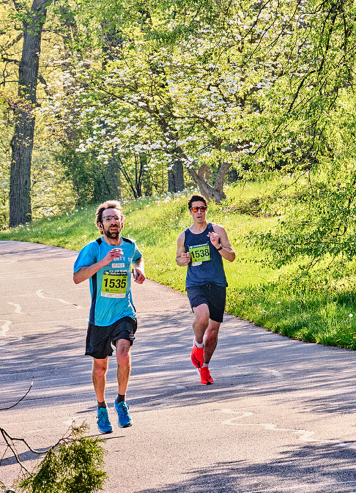 The Morton Arboretum