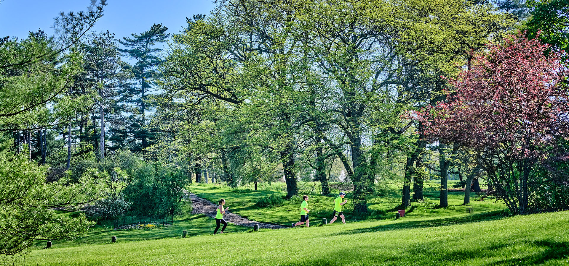 The Morton Arboretum