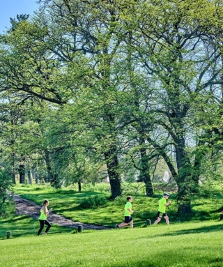 The Morton Arboretum
