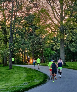 The Morton Arboretum