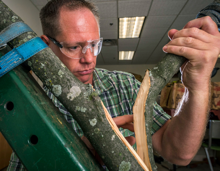 The Morton Arboretum